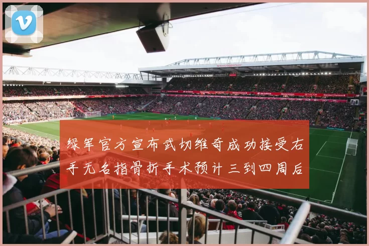 绿军官方宣布武切维奇成功接受右手无名指骨折手术预计三到四周后复查