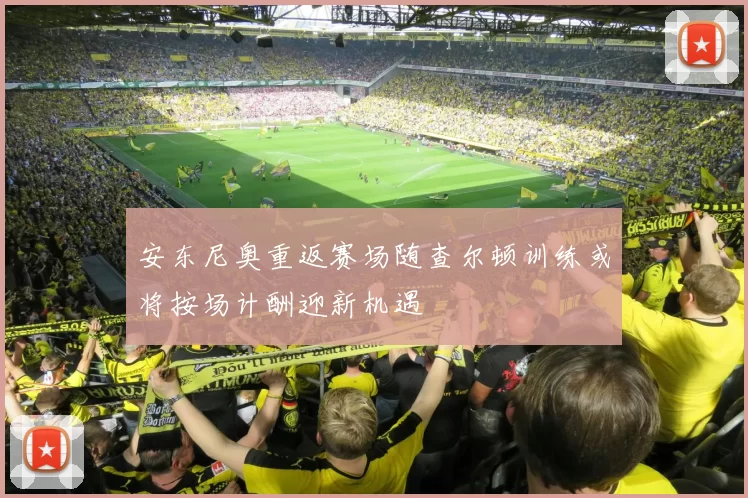 安东尼奥重返赛场随查尔顿训练或将按场计酬迎新机遇