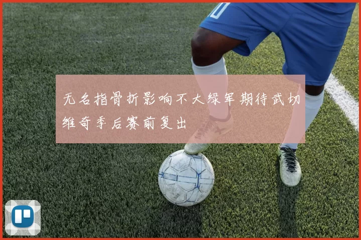 无名指骨折影响不大绿军期待武切维奇季后赛前复出